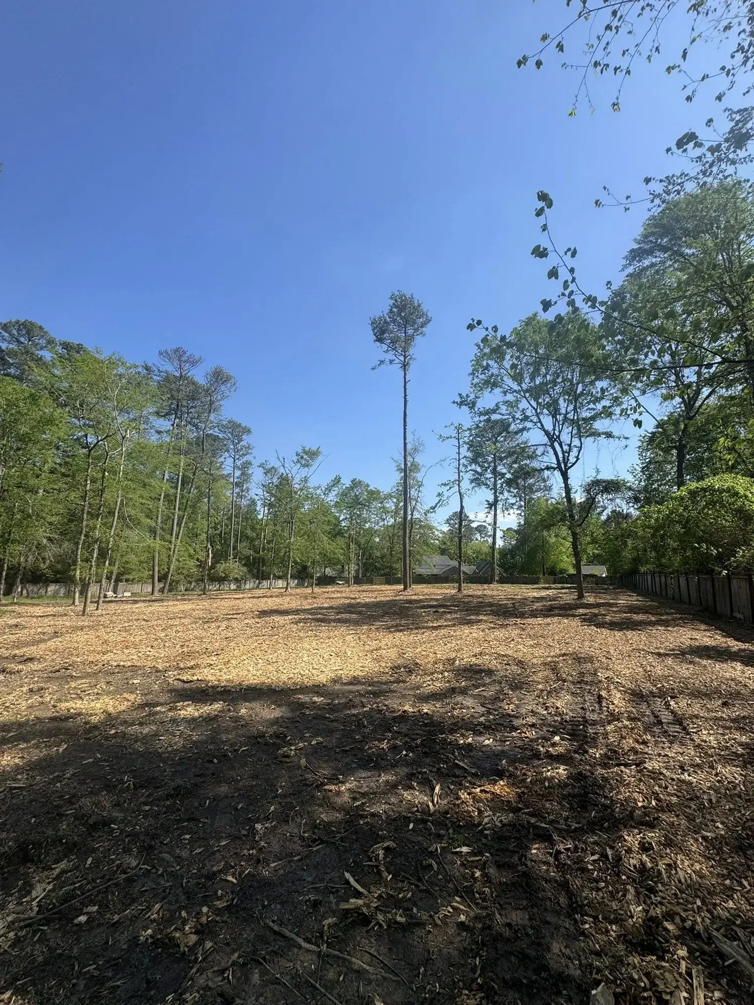 R Construction and Services work in Madison, MS (photo 19)