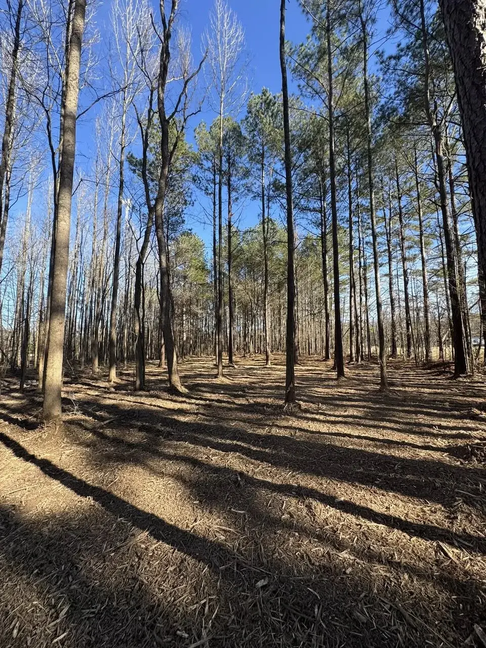 R Construction and Services work in Madison, MS (photo 24)