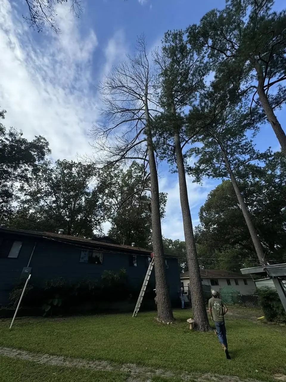 R Construction and Services work in Madison, MS (photo 23)