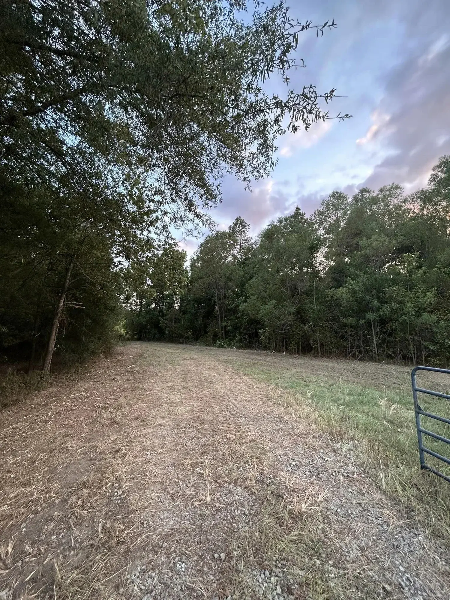 R Construction and Services work in Madison, MS (photo 41)