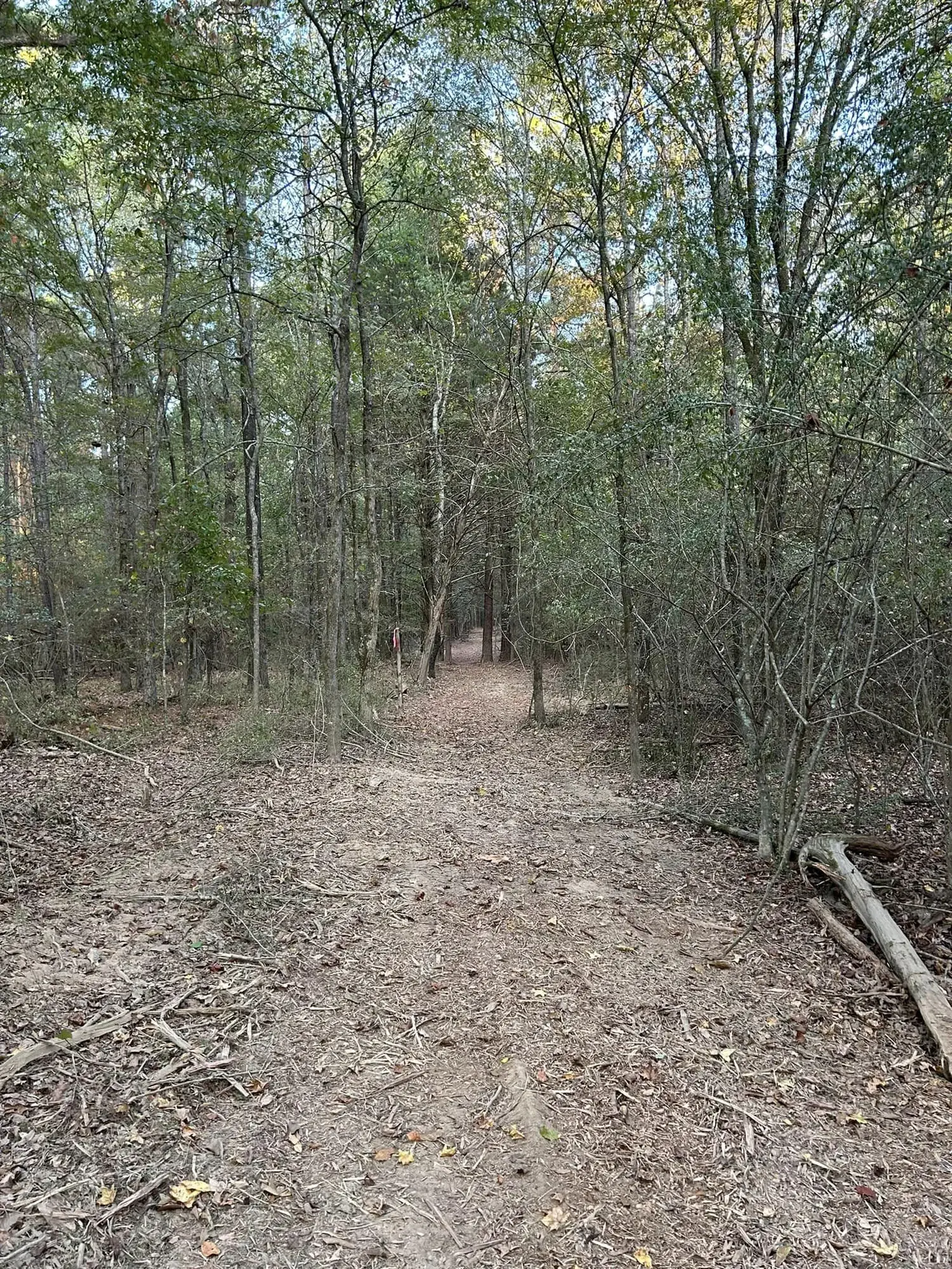 R Construction and Services work in Madison, MS (photo 30)