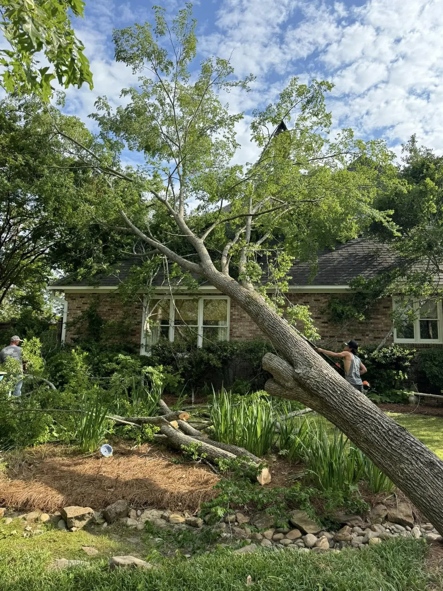 R Construction and Services work in Madison, MS (photo 17)