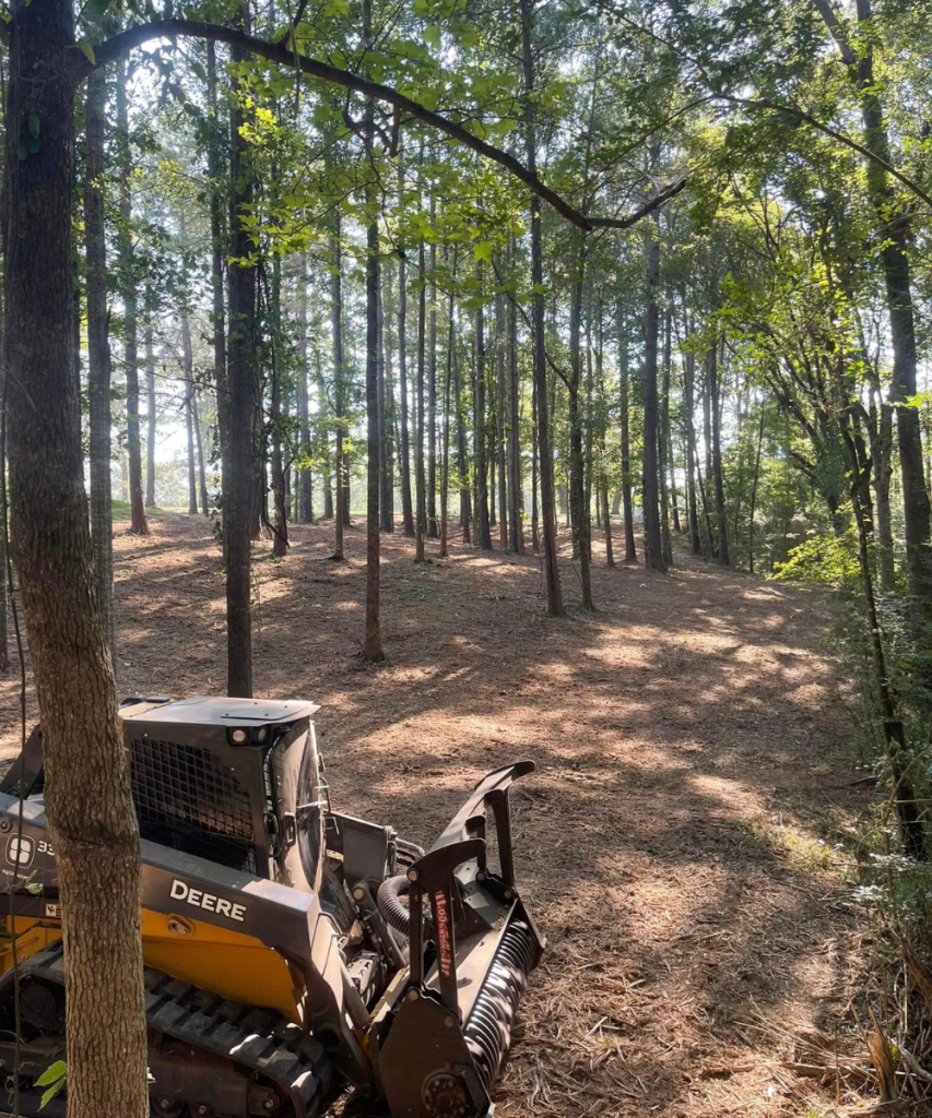 Skid steer on a cleared piece of property during a forestry mulching project.